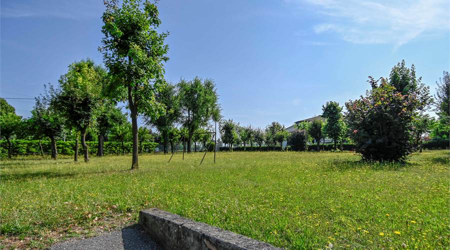 Photo 45