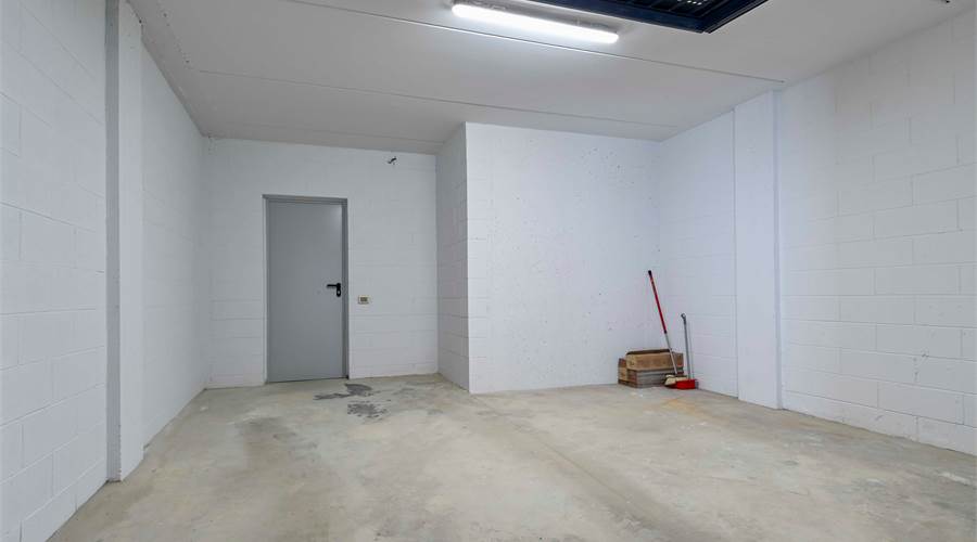 Photo 15