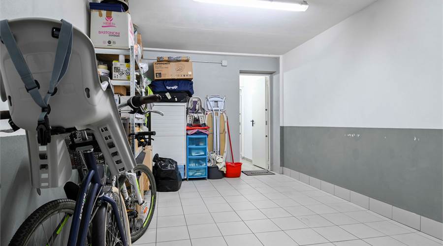 Photo 46