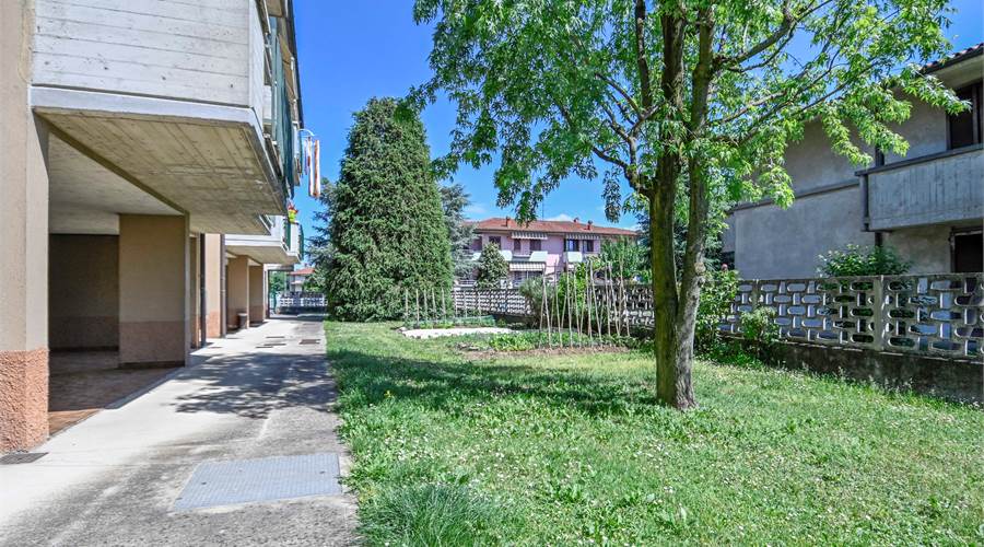 Photo 52